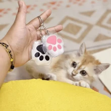 1 Stück/2 Stück Haarspeicher-Anhänger mit Tierkralle, neue Version Gedenkdisplay für Tierfell & Menschenhaar, Aufbewahrungsanhänger für Tierschaum als Schlüsselanhänger für Katzen & Hunde