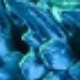 彩色