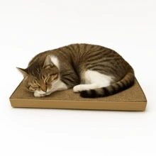 Cardboard Cat Scratcher - 鏽棕色 - 查看 5