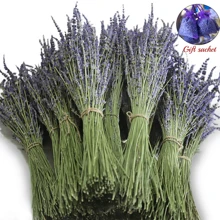 200/300pcs Lavender Bouquet - 3/5 Bundles Of Dried Flowers For Home Decor, Aromatherapy & Photography Props, Pest-Free Processing,Wedding Decoration, Rural Wedding, Bathroom, Bedroom, Yoga Studio | Used For Valentine's Day, Christmas, Thanksgiving, Anniversaries