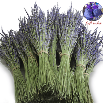 200/300pcs Lavender Bouquet - 3/5 Bundles Of Dried Flowers For Home Decor, Aromatherapy & Photography Props, Pest-Free Processing,Wedding Decoration, Rural Wedding, Bathroom, Bedroom, Yoga Studio | Used For Valentine's Day, Christmas, Thanksgiving, Anniversaries,Halloween,Christmas Decoration,Christmas Gifts,Halloween Accessories