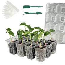 10/20pcs Transparent Plastic Seedling Trays With Drainage Holes - Succulent Plant Transplant Trays, Includes Planting Tools, Propagation Trays, Easy Maintenance, Gardening Accessories, Ideal For Succulent Growers, Reusable Plastic Trays, Suitable For Vegetables, Herbs, Flowers - Space-Saving Seedling Containers - Multicolor - View 2