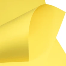 DIPLO-AMA - Yellow - View 3