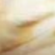 黑與白
