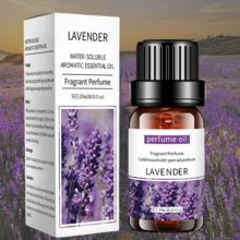 10ml 芳香疗法精油，汽车芳香疗法持久香味，放松心情，清新空气，适合女性、妈妈、妻子、姐妹、青少年、女朋友，可用于房间、客厅、厨房、办公室--水溶性 - 均碼 - 查看 17