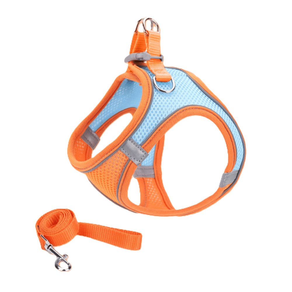 Pettorina per cani con patchwork blu e arancione, con strisce riflettenti e guinzaglio da 1,5 m, adatta per cani di taglia piccola, media e grande