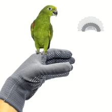 Guantes anti-mordedura para loros, accesorios para el manejo de aves de mascota, guantes de entrenamiento para mascotas, guantes de para trabajos de masticado para loros y hámsteres