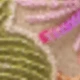 Multicolor