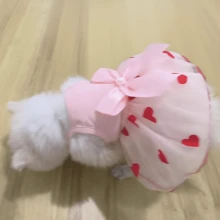 Summer Thin Pet Gauze Skirt For Small Dogs, Bichon, Teddy, Yorkshire Terrier, Schnauzer, Cat, Etc.