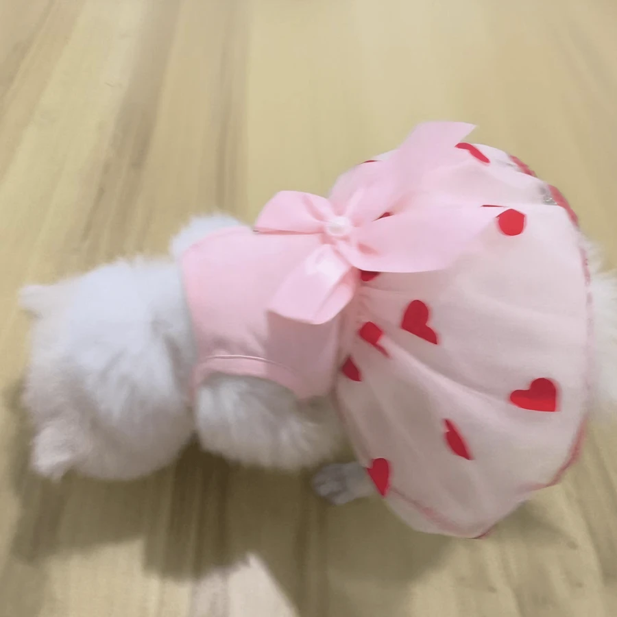 Summer Thin Pet Gauze Skirt For Small Dogs, Bichon, Teddy, Yorkshire Terrier, Schnauzer, Cat, Etc.