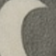 Albaricoque