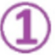 1 unidad - Exclusivo FEM Essential - REGULAR