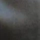الأسود