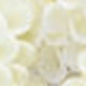 Màu be