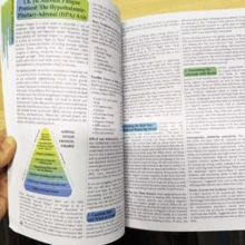 The Holistic Guide To Wellness For Common Ailments Herbal Medicine Book Holistic Herbal Protocol Book By Nicole Apelian - Nhiều màu - Xem 4