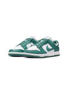 Nike Dunk Low Next Nature 女款运动鞋休闲运动鞋 DD1873-107