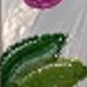 Multicolor 16