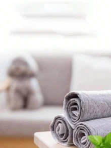 100片装宠物加厚竹炭尿垫，床垫，加厚尿布狗狗用品厕所。狗狗尿垫为一次性使用，适用于训练宠物在固定时间和地点上厕所，保持家居卫生无异味，是送给快乐幼犬幼猫的最佳生日礼物，宠物用品，宠物尿垫 - 彩色 - 查看 5