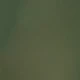 Verde inchis