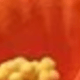 1件橘色