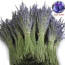 200/300pcs Lavender Bouquet - 3/5 Bundles Of Dried Flowers For Home Decor, Aromatherapy & Photography Props, Pest-Free Processing,Wedding Decoration, Rural Wedding, Bathroom, Bedroom, Yoga Studio | Used For Valentine's Day, Christmas, Thanksgiving, Anniversaries