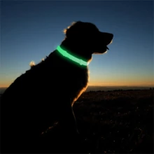2 Packs Glow-In-The-Dark Dog Collars – Reflective, Adjustable & Lightweight | Night Safety & All-Season Comfort For Small & Medium Dogs
