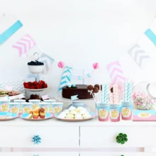 Juego de vajilla para fiesta de revelación de género Jonvell para 16 invitados: Platos, vasos, servilletas, pajitas y mantel de papel para niño o niña