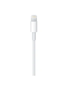 Apple iPhone Lightning 转 USB 数据线 (1 米) - 白色 - 查看 2