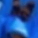 azul real