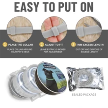 2 Packs Glow-In-The-Dark Dog Collars – Reflective, Adjustable & Lightweight | Night Safety & All-Season Comfort For Small & Medium Dogs