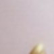 粉紅色與蒂芬妮 2026