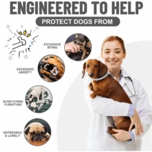 2 Packs Glow-In-The-Dark Dog Collars – Reflective, Adjustable & Lightweight | Night Safety & All-Season Comfort For Small & Medium Dogs