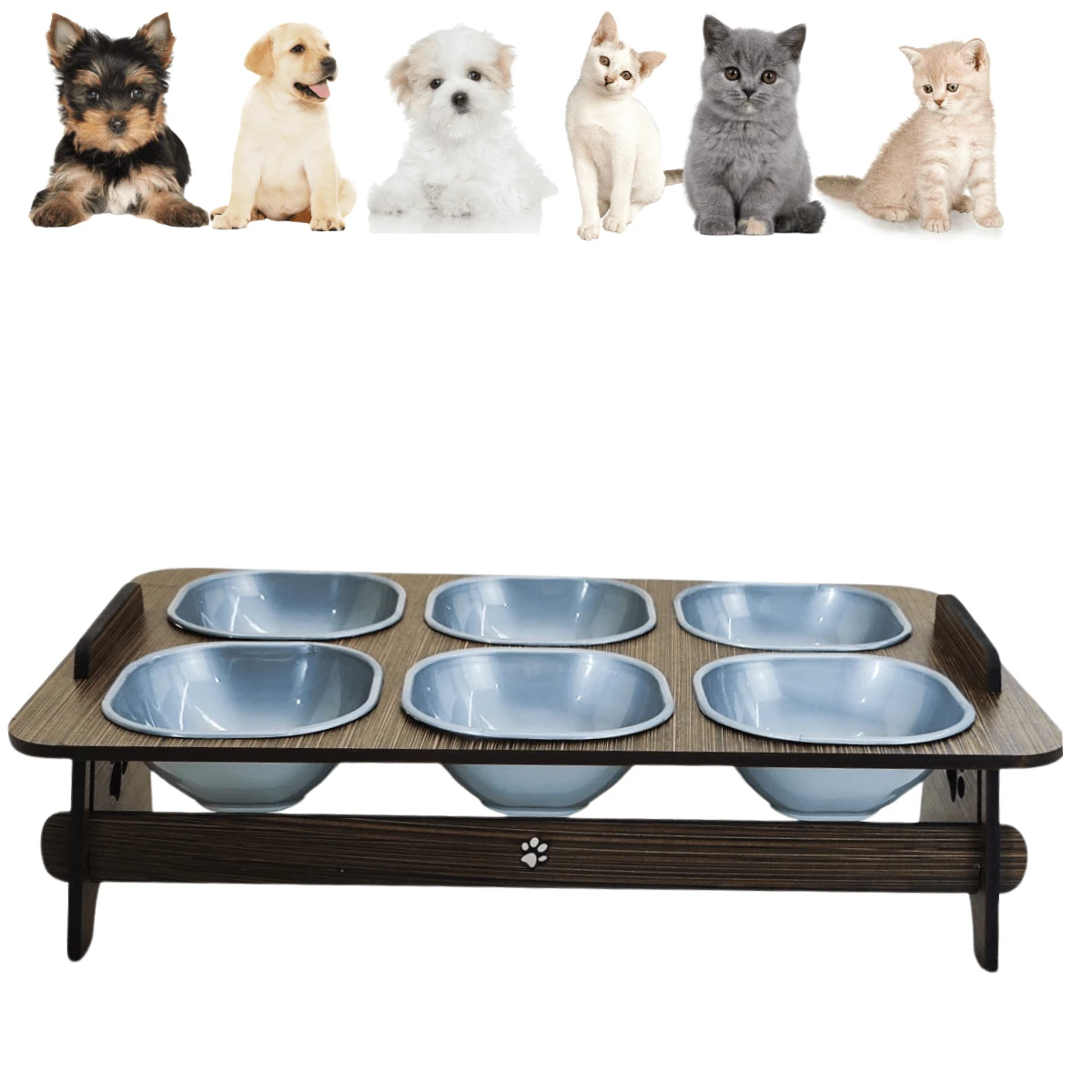 Comedouro Com 6 Tigelas Elevado Para Cães e Gatos Com Tampas