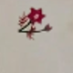 trắng