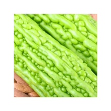 Free Home Delivery Free Home Delivery Free Home Delivery 50 Pcs/Bag Bitter Gourd Seeds Seeds - 100 - 查看 5