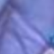 Lilac Purple