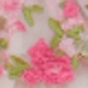 Hồng
