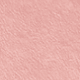#M02 ROSY NATION