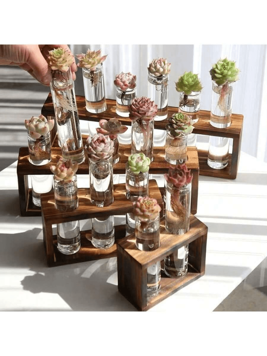 1 Stück Glas Pflanzenvermehrungsstation für den Schreibtisch, Holzständer mit mehreren Reagenzgläsern, Hydroponik Pflanzenstecklinge, Büro- & Heimdekoration, Terrassen-Garten, Sukkulenten-Pflanzgefäß, Blumenarrangement Set, Premium Büroschreibtisch-Accessoire, Sämling Anti-Strahlung Neuheit