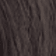 Nâu đen
