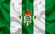 Real Betis Balompié 皇家貝蒂斯足球俱樂部透明運動水壺，讓您隨時隨地支持您的球隊。 550毫升容量，盡享支持您心愛球隊的樂趣。尺寸：7.2 x 7.2 x 19 公分。官方品質保證。 - 綠色 - 查看 4
