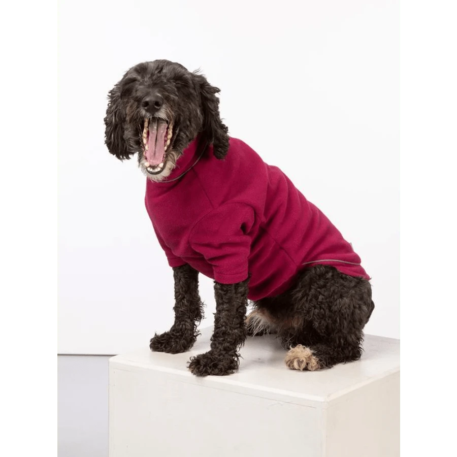 Fleece Dog Jumper - Olive - View 1