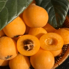 High Sporod Rate Varieties, Seeds And Fruit Tree Varieties Can Be Planted In All Seasons. - 10 - Xem 2