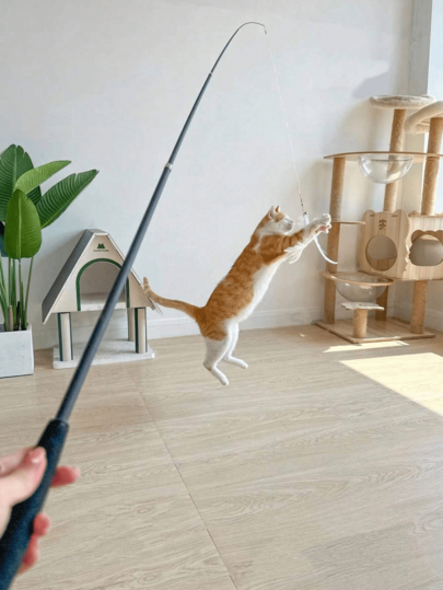 Tongkat Mainan Kucing Teleskopik 1,8m, 4 Bagian, Fleksibel 360° & Dapat Diganti, Merangsang Kebahagiaan Kucing (Lonceng Warna Acak)