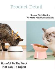 1/2pcs Customized Pet Cat Raised Bowl, Customizable Name, Easy To Clean, Plastic Material, Suitable For Dog/Cat Food And Water, Puppies, Whisker-Friendly - Multicolor - View 6