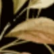 Preto e Dourado