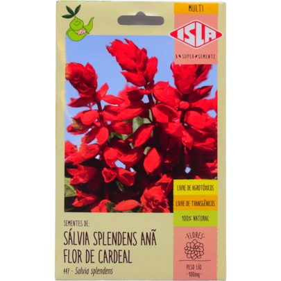 Sementes Isla De Sálvia Splendens Anã Flor-de-cardeal
