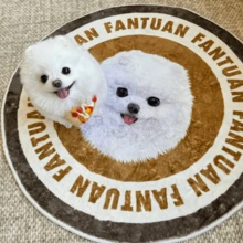 1pc Customized Round Pet Carpet, Can Print Personalized Photo And Name, Soft Faux Cashmere Non-Slip Rug, Cute Floor Mat, Suitable For Dog Or Cat Lovers, Cozy Home Decor, Can Be Used In Bedroom Or Living Room, Christmas, Thanksgiving, Halloween Gift - Multicolor - View 4