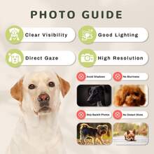 1/3/5 chiếc Nút chặn bụi chụp ảnh tùy chỉnh, Nút chặn bụi chụp ảnh thú cưng tùy chỉnh, Nút chặn bụi chụp ảnh Acrylic cá nhân hóa, Loại C, Có đèn, Ba tùy chọn, Chống bụi hiệu quả và siêu bền, Mặt dây chuyền điện thoại di động hình thú cưng dễ thương cá nhân hóa, Phụ kiện điện thoại di động tùy chỉnh, Nút chặn bụi mini, Quà tặng sinh nhật - Nhiều màu - Xem 6