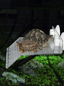 1pc Transparent Turtle Basking Platform, Turtle Tank Basking Ramp, Turtle Climbing Platform, Rest Platform, Suction Cup High Water Level Rest, Deep Water Floating Island Basking Platform (Suction Cup Accessories Style Random)
